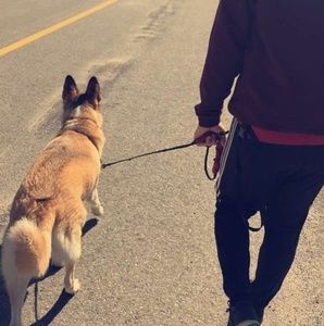 Meet your Posher, Pierre-antoine